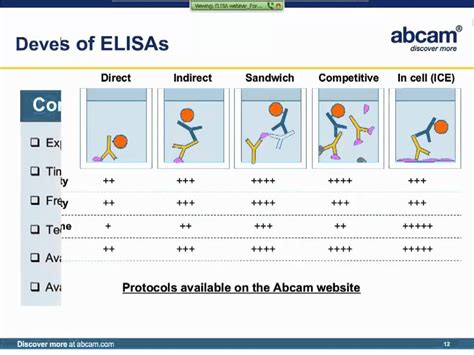 elisa not working|troubleshooting elisa assays.